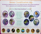 Animal classification key [wallchart]