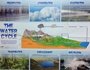 Water Cycle [wallchart]
