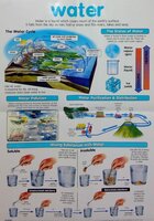 Water [wallchart]